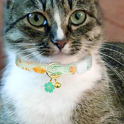 PetTribes Collier chaton - Fleur avec clochette - Réglable et sécuritaire
