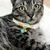 PetTribes Collier chaton - Fleur avec clochette - Réglable et sécuritaire