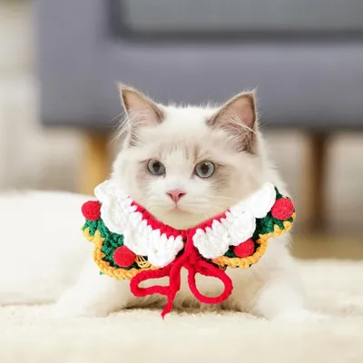PetTribes Collier de Noël pour chat - coton vert