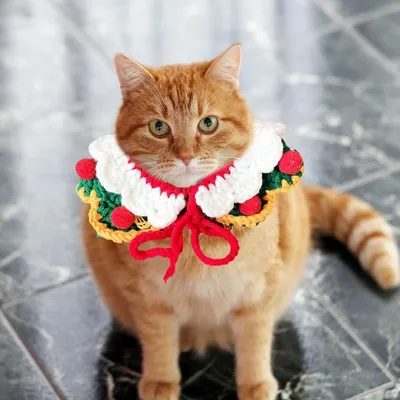 PetTribes Collier de Noël pour chat - coton vert