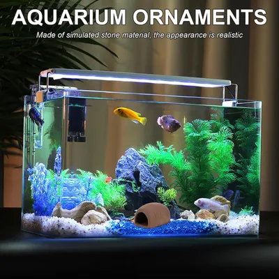 PetTribes 3 Ornements Céramique pour Aquarium - Cachette Sûre