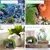 PetTribes Grotte Décorative Mousse pour Aquarium M