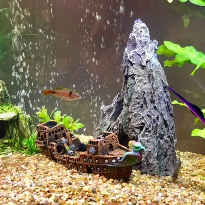 PetTribes Décor Aquarium Résine