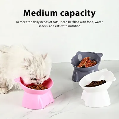 PetTribes Bol incliné pour chat et petit chien.