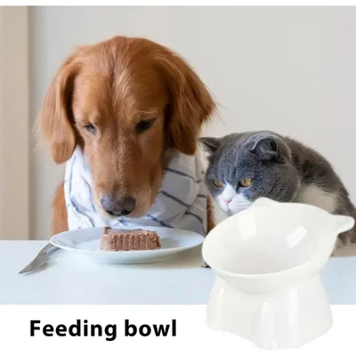 PetTribes Bol incliné pour chat et petit chien.