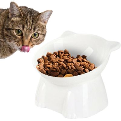 PetTribes Bol incliné pour chat et petit chien.