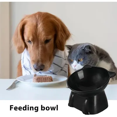 PetTribes Bol incliné pour chat et petit chien.