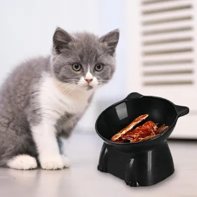 PetTribes Bol incliné pour chat et petit chien.