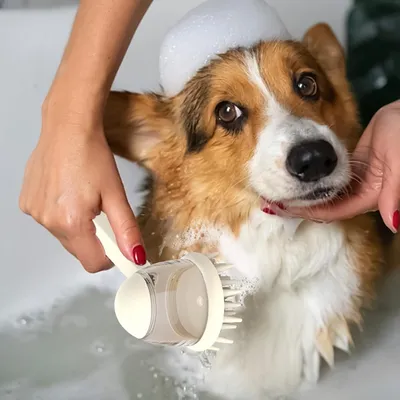 PetTribes Brosse de Bain pour Chien - Disperse Shampoing & Massage