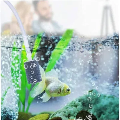 PetTribes Oxygénez Votre Aquarium Économiquement -  USB