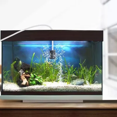 PetTribes Oxygénez Votre Aquarium Économiquement -  USB