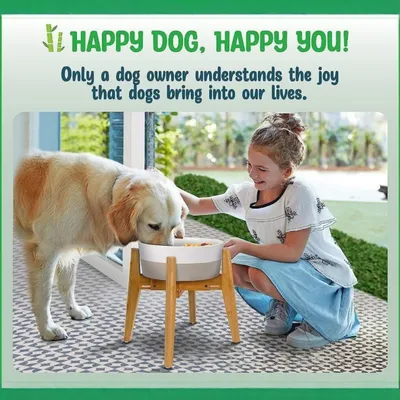 PetTribes Gamelle surélevée réglable en bambou pour chien