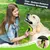 PetTribes Cepillo Autolimpiante para Mascotas - Elimina Pelo Muerto Eficaz