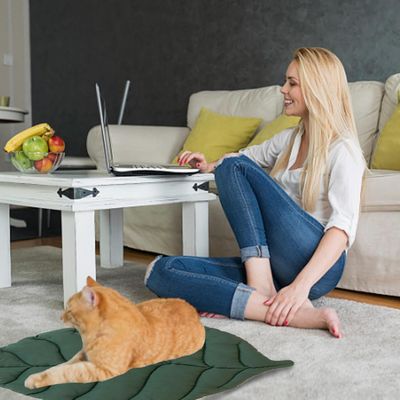 PetTribes Tapis Lit Feuille Doux Rembourré pour Animaux