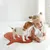PetTribes Matelas Lavable Double Face Forme Feuille