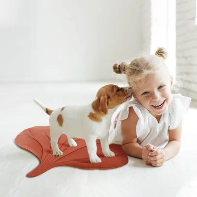 PetTribes Matelas Lavable Double Face Forme Feuille