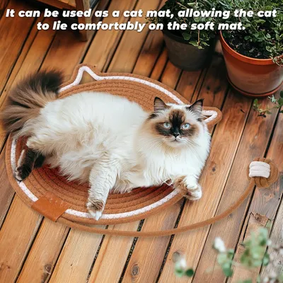 PetTribes Grattoir Tapis Ronde - Protection Meubles et Jeu Chat