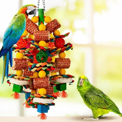 PetTribes Jouets pour oiseaux,pour perroquets gris africains, aras.