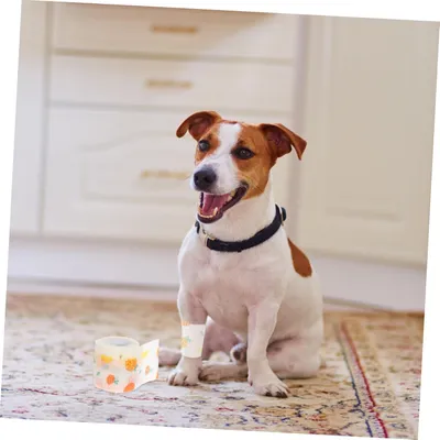 PetTribes Bandage Auto-Adhésif pour Chats et Chiens - Confort Optimal 4pcs PetTribes Bandage Auto-Adhésif pour Chats et Chiens - Confort Optimal 4pcs