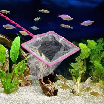 PetTribes Filet Sécurisé pour Aquarium