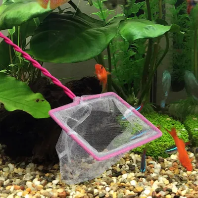 PetTribes Filet Sécurisé pour Aquarium