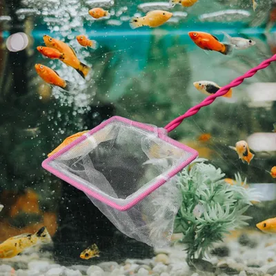 PetTribes Filet Sécurisé pour Aquarium