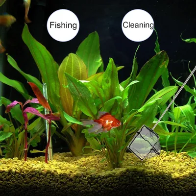 PetTribes Épuisette Aquarium - Nettoyage Déchets