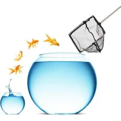 PetTribes Épuisette Aquarium - Nettoyage Déchets