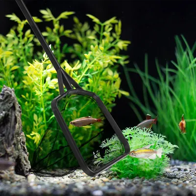 PetTribes Épuisette Renforcée Noire - Taille Moyenne