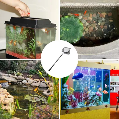 PetTribes Épuisette Carrée Inoxydable Télescopique