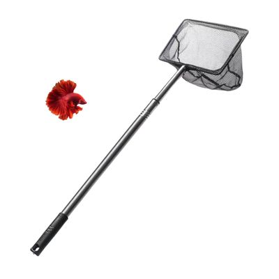 PetTribes Épuisette Carrée Inoxydable Télescopique