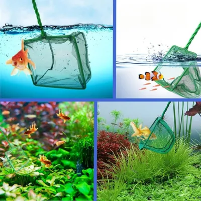 PetTribes Épuisette Aquarium à Long Manche Maille Fine