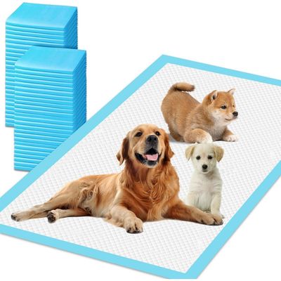 PetTribes Alèses absorbants anti-fuites 60x90 - 20 pcs