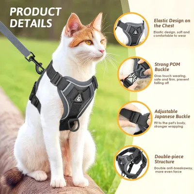 PetTribes Harnais Réfléchissant Réglable pour Chat - Avec Laisse M