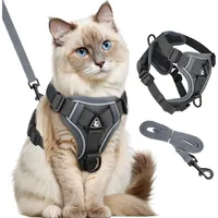 PetTribes Harnais Réfléchissant Réglable pour Chat - Avec Laisse L