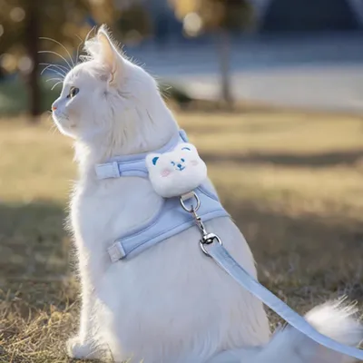 PetTribes Laisse réglable pour chat - 1.2m, bleu PetTribes Laisse réglable pour chat - 1.2m, bleu