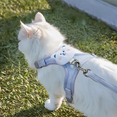 PetTribes Laisse réglable pour chat - 1.2m, bleu PetTribes Laisse réglable pour chat - 1.2m, bleu