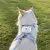 PetTribes Laisse réglable pour chat - 1.2m, bleu PetTribes Laisse réglable pour chat - 1.2m, bleu