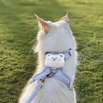 PetTribes Laisse réglable pour chat - 1.2m, bleu PetTribes Laisse réglable pour chat - 1.2m, bleu