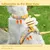 PetTribes Harnais Chat Gilet Respirant