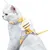 PetTribes Harnais Chat Gilet Respirant