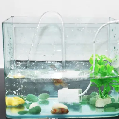 PetTribes Pompe Submersible Anti-Brûlure - Faible Bruit