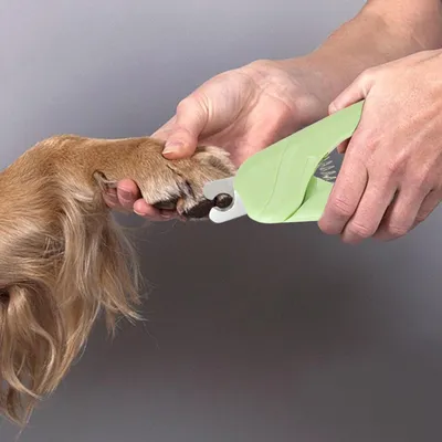 PetTribes Coupe-Ongles Pro pour Chien et Petit Animal