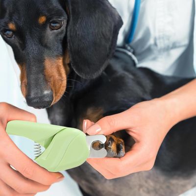 PetTribes Coupe-Ongles Pro pour Chien et Petit Animal