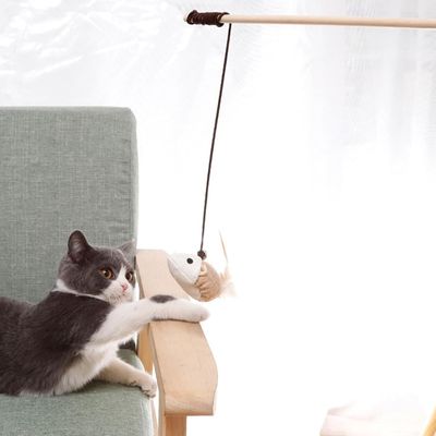 PetTribes Canne à Plume Interactive pour Chat - Anti-Ennui