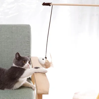 PetTribes Canne à Plume Interactive pour Chat - Anti-Ennui