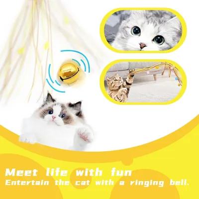 PetTribes Canne à Chat Interactive - Jeu Stimulant