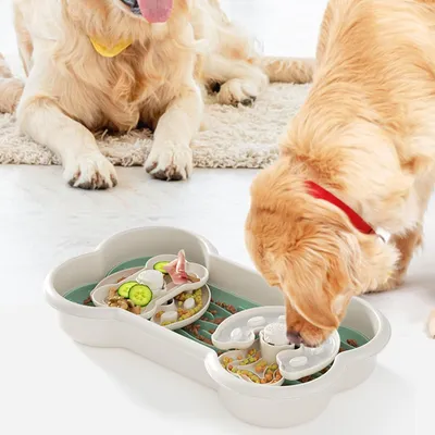 PetTribes Bol à Manger Lent pour Chien