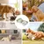 PetTribes Bol à Manger Lent pour Chien