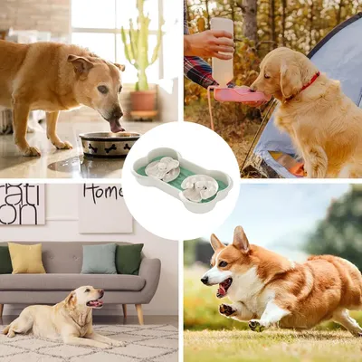 PetTribes Bol à Manger Lent pour Chien